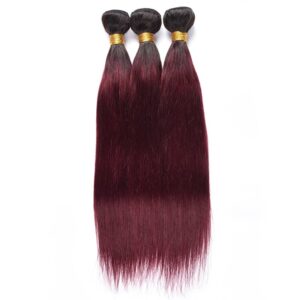 t1b-99j-burgundy-straight-ombre-hair-bundles-human-hair-extensions-cywigs-1